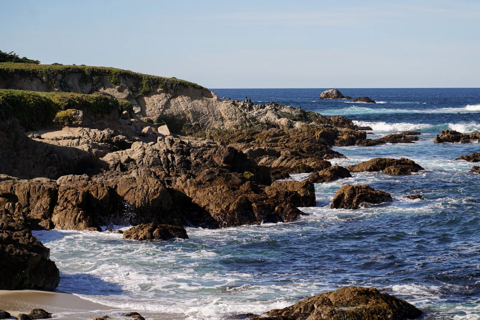 Carmel & Monterey Private Tour