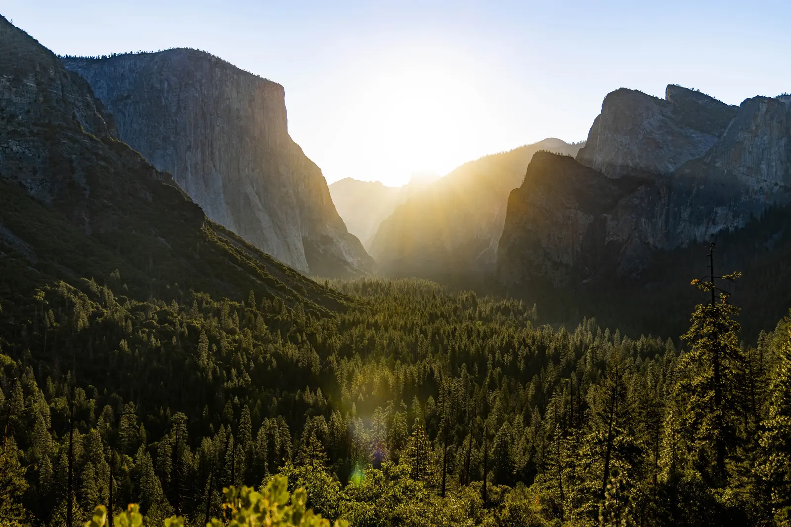 Yosemite Private Tour