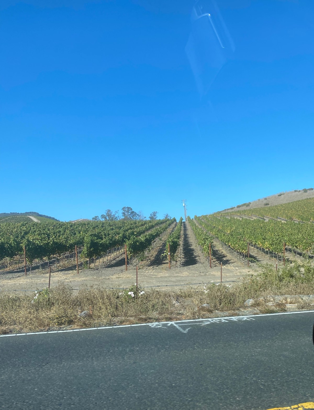 NAPA/SONOMA TOURS